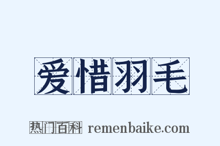 爱惜羽毛是什么意思的图片